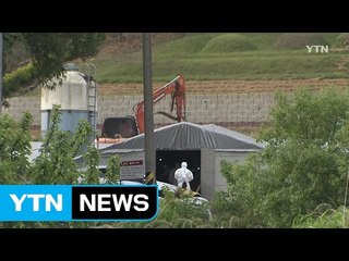 제주 닭 AI 고병원성 확진...위기경보 최고 수준 / YTN