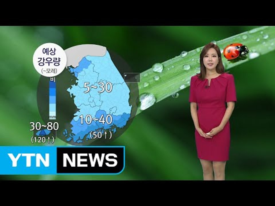 [날씨] 내일 더위 식혀줄 단비...미세먼지 안심 또는 보통 / YTN