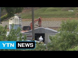 제주 닭 AI 고병원성 확진...위기경보 최고 수준 / YTN