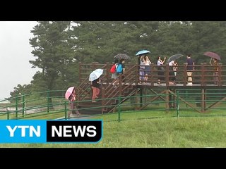 [날씨] 현충일 반가운 단비...곳곳 강풍 주의 / YTN