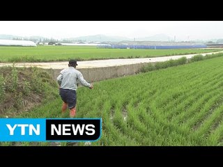 농약값 ↓ 생산성↑, 농가 소득 5천만 원 달성 / YTN