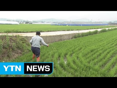 농약값 ↓ 생산성↑, 농가 소득 5천만 원 달성 / YTN