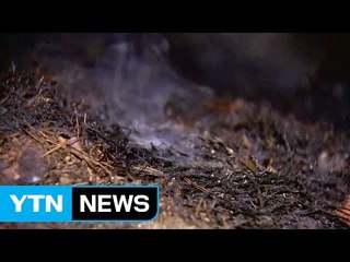 수락산 산불 초진...잦아든 바람 영향 / YTN