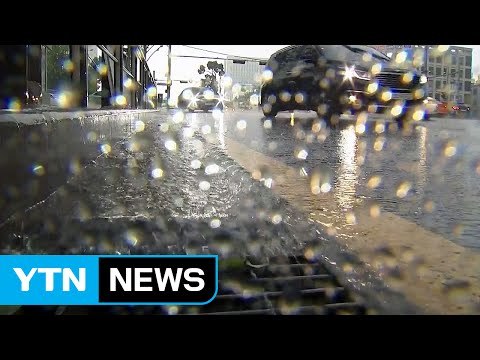 서울 강남 일대에 지름 1cm 우박 떨어져 / YTN