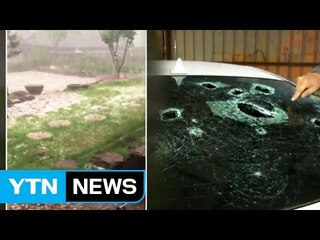 단비 대신 우박 쏟아져...농작물 피해 속출 / YTN