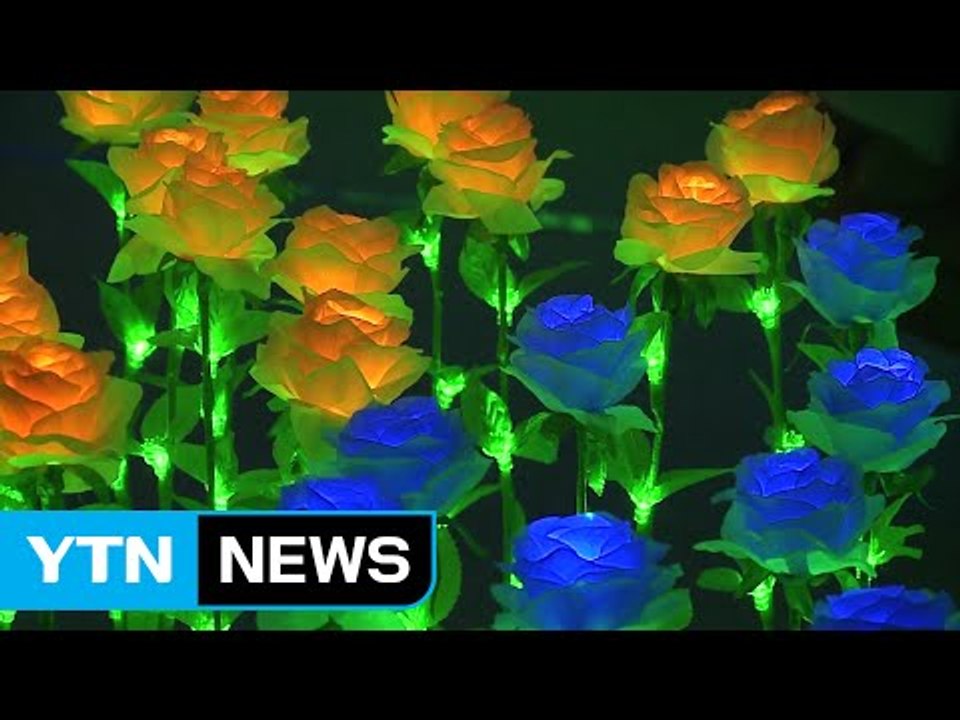 [대구] 전국 유일 실내 꽃박람회 대구서 막 올라 / YTN