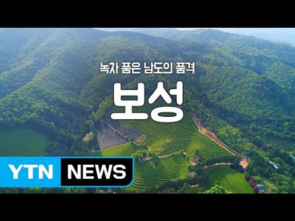 [YTN 구석구석 코리아] 녹차 품은 남도의 품격, 보성 / YTN