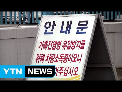 두 달 만에 제주에서 AI 의심 사례 발생 / YTN