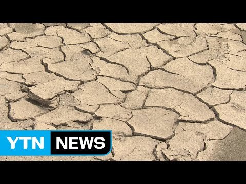 [날씨] 가뭄 속 아쉬운 단비...해갈은 언제쯤? / YTN