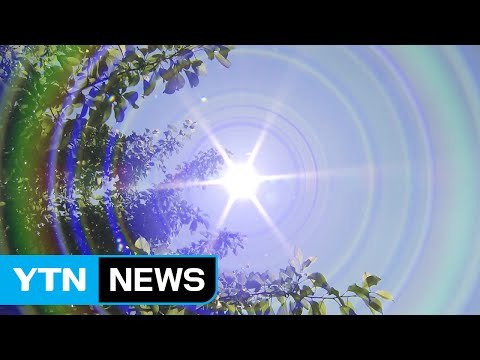[날씨] 전국에 단오 더위...오전 미세먼지·오후 오존↑ / YTN