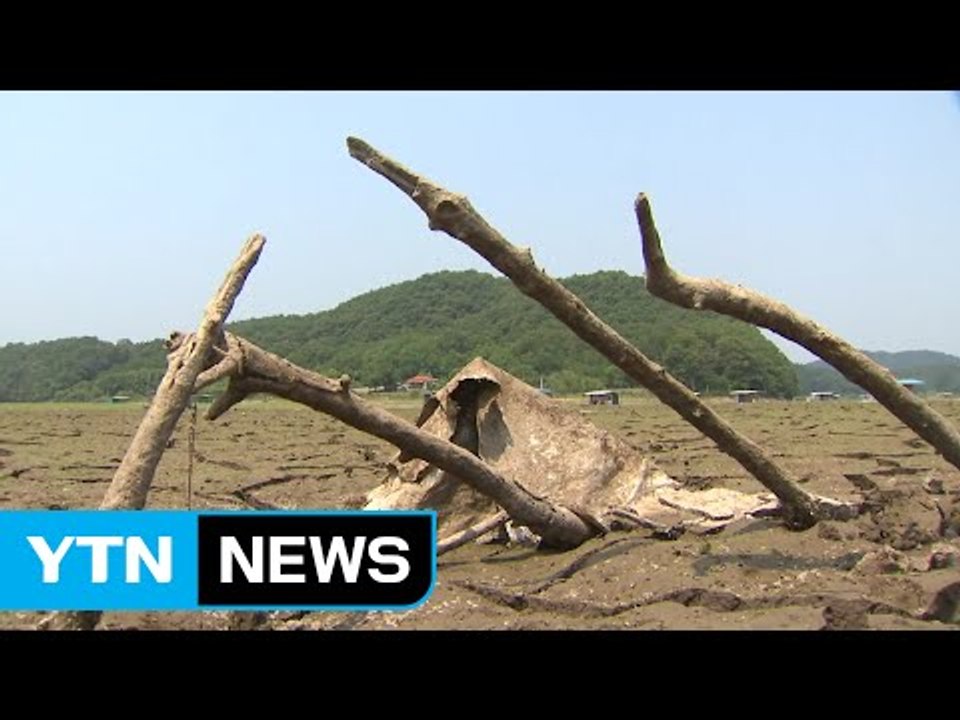 계속된 가뭄...농작물 피해 줄이는 방법 / YTN