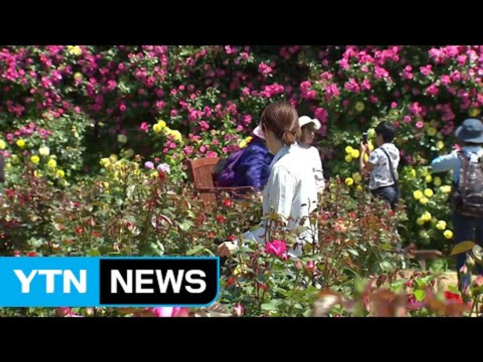 [날씨] 내일 전국 맑고 더워...갈수록 기온 올라 / YTN