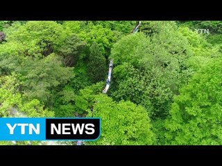 [영상] 이른 더위 숲으로 가자 / YTN