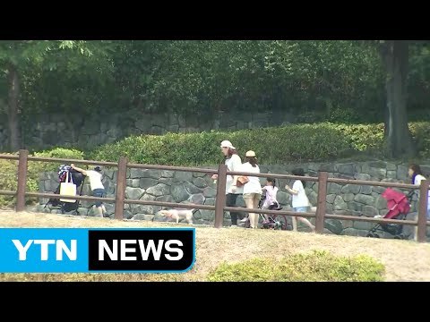 [날씨] 여름 더위, 시원한 공원이 좋아요...내일 더 더워 / YTN