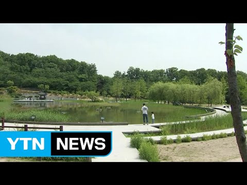 [날씨] 맑고 여름 더위...도심 공원에서 시원한 휴일 / YTN