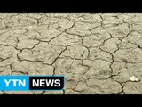 최악의 봄 가뭄...저수지 바닥도 '쩍쩍' 갈라졌다 / YTN