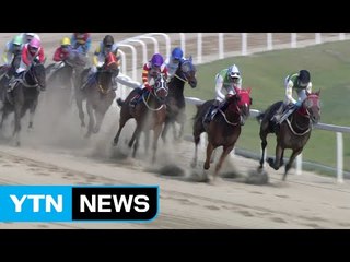 클린업조이, 제17회 YTN 경마대회 우승 / YTN