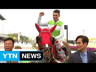 클린업조이, YTN배 경마대회 우승 / YTN