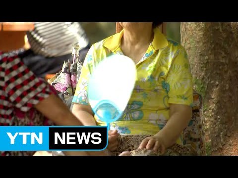 [날씨] 맑지만 한여름 더위...영남 폭염주의보 / YTN