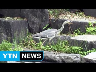 [날씨] 퇴근길 큰 일교차...내일도 맑고 더워, 동해안 비 / YTN