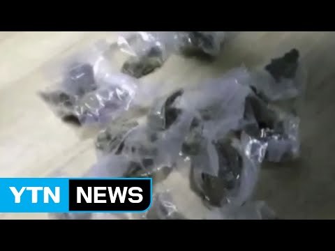 LA 한인 갱단, 수십억 마약 밀반입...결제는 '비트코인'으로 / YTN