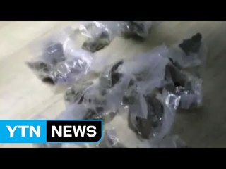 LA 한인 갱단, 수십억 마약 밀반입...결제는 '비트코인'으로 / YTN