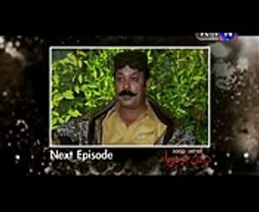 DARDAN JO DARYA EPISODE 68 PROMO  SINDHI DRAMAS