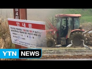 "농사 지을 물이 없어요"...소금물 모내기 나서 / YTN