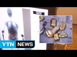 금괴 몸속 숨겨 밀수...천백억 대 최대 규모 / YTN