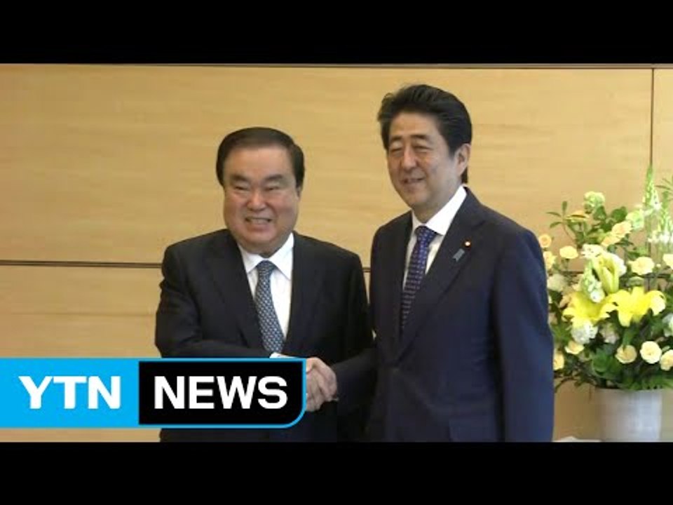 문희상 특사, 아베 총리 면담...친서 전달 / YTN