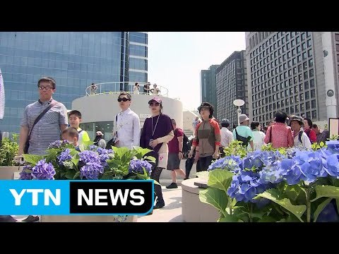 서울로 7017 개방...다양한 행사 열려 / YTN