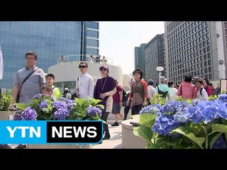 서울로 7017 개방...다양한 행사 열려 / YTN