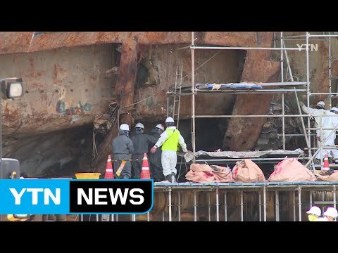 세월호 3층에서 사람 추정 뼈 18점 추가 발견 / YTN