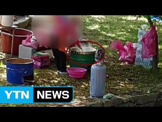 세계유산에서 예배하고 가스통 설치해 음식 조리 / YTN