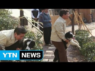 [뉴스톡] 엇갈린 운명의 역대 '퍼스트 도그' / YTN