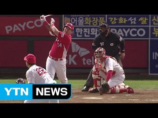 곳곳에서 쾅쾅쾅...홈런꽃이 피었습니다 / YTN