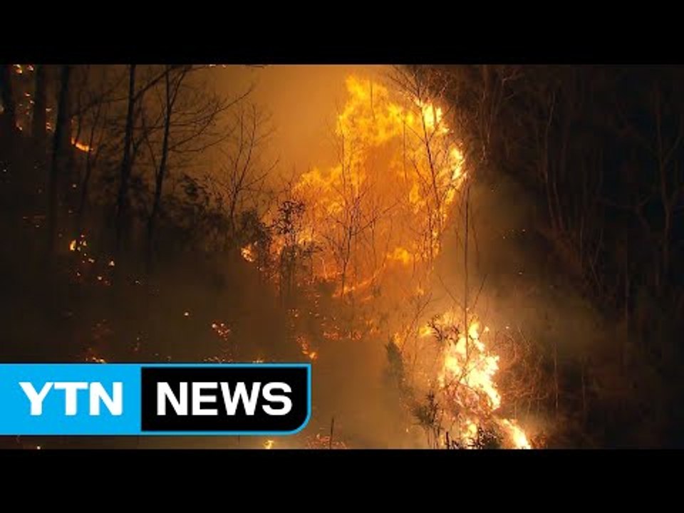 건조한 날씨에 강풍...산불 조심 기간 연장 / YTN