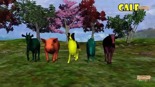 Learning Farm Animals names & Sounds for Kids - Colors Animals Finger family Nursery rhymes