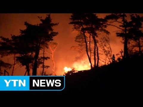 강풍 타고 되살아난 강릉 산불...주민 대피 / YTN
