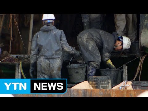 이틀 연속 유골 추정 뼈 발견, 가방도 확인 / YTN