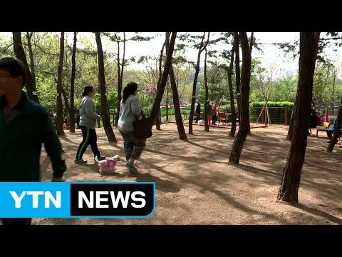 서울시, 5월·9월 일요일마다 '반려동물 교실' / YTN