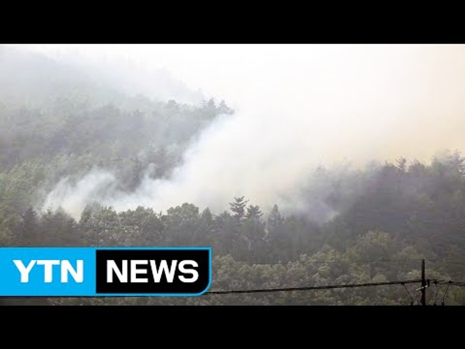 첩첩산중 삼척 산불...강풍에 진화 난항 / YTN