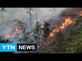 삼척 산불...강풍과 송전탑, 먼 담수지역에 진화 난항 / YTN