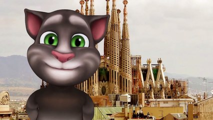 Talking Tom's Football Trivia