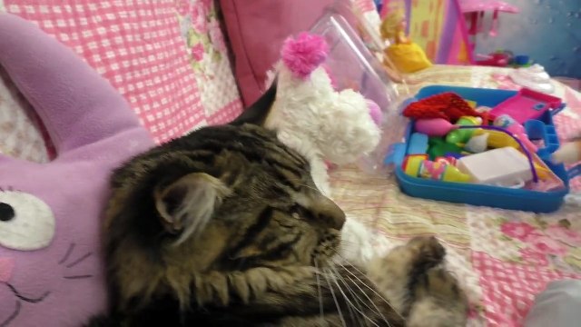 Укусил ПАУК! Делаем УКОЛ в попу Играем в доктора Видео для детей Play Doctor Margo!-c2XspT7Ywvs