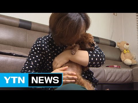 유기견에게 새 삶을...아름다운 동행 / YTN