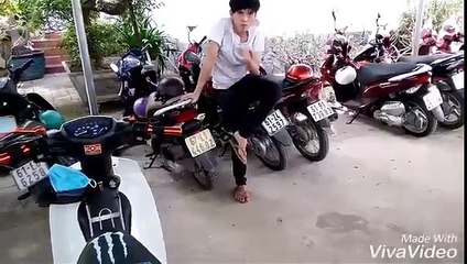 Sirius 2017 dọn kiểng đẹp