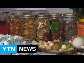 "녹차 맛보세요" 하동 야생차 축제 개막 / YTN