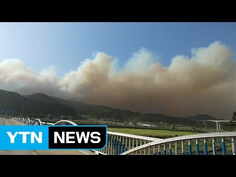 [속보] 영동지방 산불 번져...강풍에 속수무책 / YTN