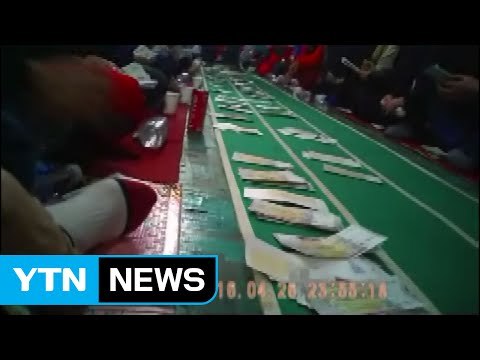 야산에서 50억 원대 도박판 벌인 일당 검거 / YTN